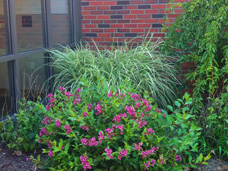 Erie Independence House Laura Wallerstein Apartments landscaping adds beauty and interest to the everyday life of our residents.